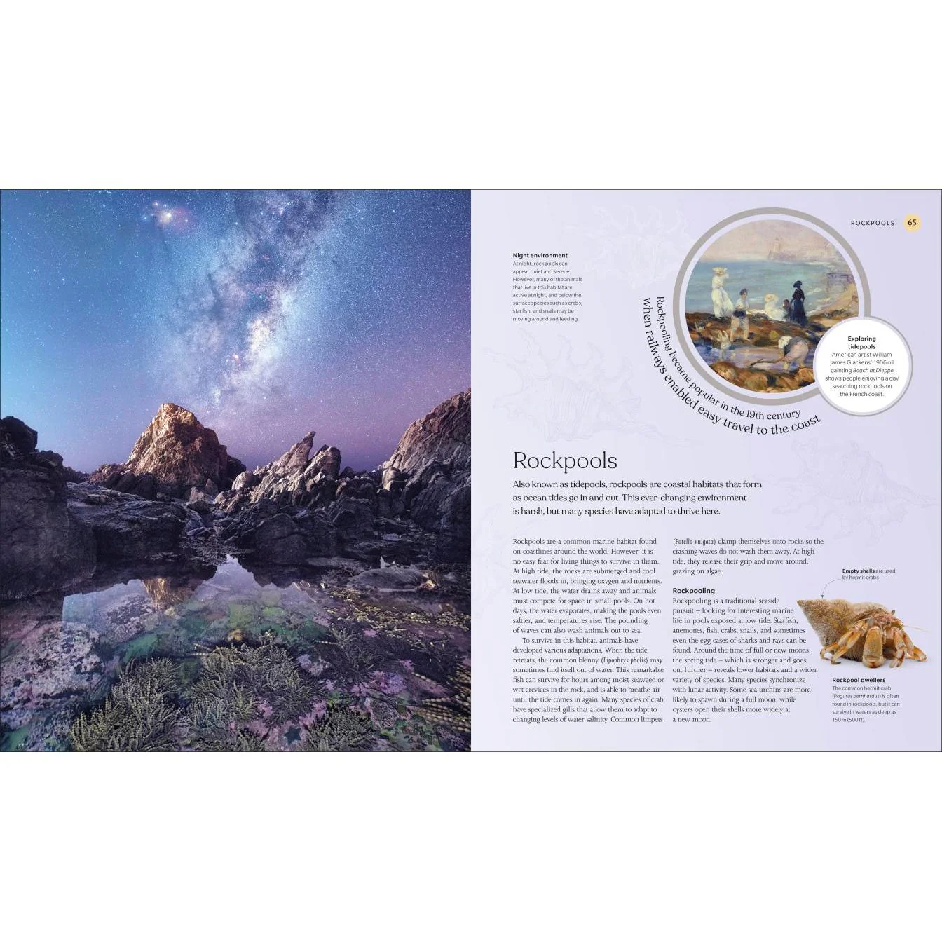 The Ocean Book - Image 3